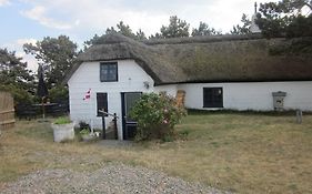 Apartment Holmsland